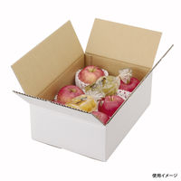 ヤマニパッケージ A式5kg白 60枚 EE-115 1ケース(60枚入)（直送品）