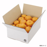 ヤマニパッケージ A式白4号 30枚 EE-303 1ケース(30枚入)（直送品）