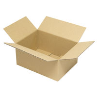 ヤマニパッケージ カル段A式段ボール1 100枚(10×10) EE-322 1ケース(100枚入(10枚×10袋))（直送品）