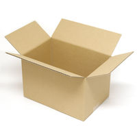 ヤマニパッケージ カル段A式段ボール2 100枚(10×10) EE-323 1ケース(100枚入(10枚×10袋))（直送品）