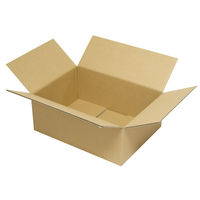 ヤマニパッケージ カル段A式段ボール3 100枚(10×10) EE-324 1ケース(100枚入(10枚×10袋))（直送品）