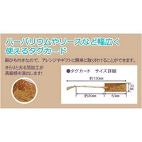 チキュウグリーティングス タグカード T-10 1セット(200枚:20枚入×10)（直送品）