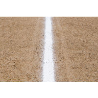 グリーンテクノ21 グラウンド用リサイクル白線 パウダー 20kg 1個