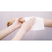 日本製紙クレシア プロテクガードプラスチックグローブS 10 69240 1セット（直送品）