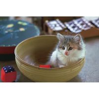 ジョインテックス 写真用光沢紙A4 100枚 A029J 1セット(30冊)（直送品）