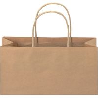 ジョインテックス 手提袋 丸紐 茶 特大 50枚 B290J-B 1セット(5パック)（直送品）