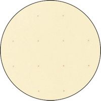 ジョインテックス クリアポケット中紙有 30穴50枚黄 D073J-YL　10パック（直送品）