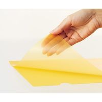 ジョインテックス Hカラーホルダー A4黄10枚 D610J-YL 1セット(30パック)（直送品）