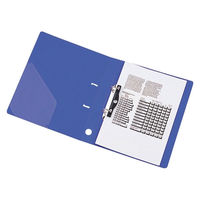 リヒトラブ Ｄ型リングファイルG2230-1 A4Sクリヤ10冊　1セット（直送品）