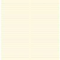 プラス カ.クリエNSシリーズBL横罫NO-683DC　10冊（直送品）