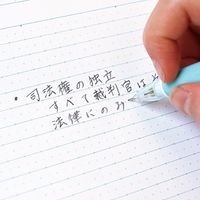 日本ノート Tree s B5 Pメモリ A罫30枚ピンク UTRP3AP 1セット(30冊)（直送品）