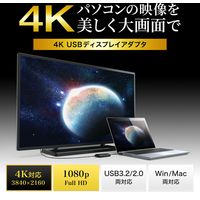 サンワサプライ USB3.2-HDMIディスプレイアダプタ(4K対応) USB-CVU3HD2N 1個