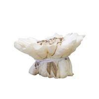 大仙 手作り花材 ソラフラワー ソラヒマワリ M W(白) 5輪入 Z001S0630 1セット（直送品）