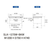 【車上渡し】山金工業 ワークテーブルLAB 実験台 耐薬品天板 固定 ワイド引出し SLK-1275W-BKW 1台（直送品）