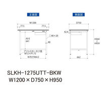 【車上渡し】山金工業 ワークテーブルLAB 実験台 耐薬品天板 固定 キャビネット SLKH-1275UTT-BKW 1台（直送品）