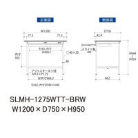 【車上渡し】山金工業 ワークテーブルLAB 実験台 メラミン天板 固定 ワイド引出し SLMH-1275WTT-BRW 1台（直送品）