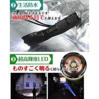 グリーンクロス ハンディライト ad202　1個（直送品）