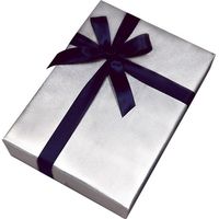 包む 包装紙 メタル シルバー TH019 1セット(5枚)