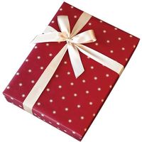 包む 包装紙 ステラ レッド TH038 1セット(5枚)（直送品）