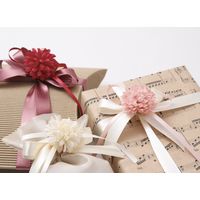 包む クリップオーナメント マム クリップタイプ ホワイト TO001 1セット(1個×5)