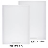 レイメイ藤井 先生おすすめ 魔法のザラザラ下じき A4 0.6mmドット クリア U613T 1セット(2個)