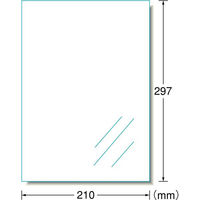 エーワン ラベルシール 水に強い パッケージラベル インクジェット 光沢フィルム 白 A4 ノーカット1面 1袋（5シート入） 29281（わけあり品）