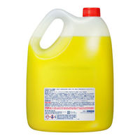 バスマジックリン　業務用4.5L　1個（わけあり品）