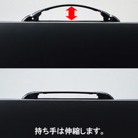 リヒトラブ ポートフォリオ・ナスカフレックス A3 F912（わけあり品）