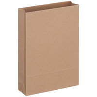 「現場のチカラ」 アスクル フラップなし宅配袋（紙製） 茶 小サイズ 封かんシールなし 1パック（100枚入）  オリジナル（わけあり品）