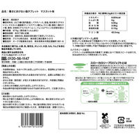 暑さ対策 塩分補給 塩分対策  暑さに負けない塩タブレット マスカット味 675g　約250粒入 1袋 オリジナル
