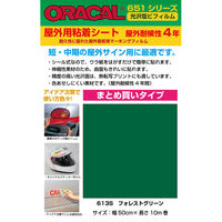 【屋外看板用マーキングフィルム】菊池襖紙工場 ORACAL 651シリーズ オラカル屋外用シート 613S 1セット（4本入り）（直送品）