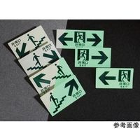日本緑十字社 高輝度蓄光避難誘導標識 ←非常口 TKN102 120×220mm 東京都条例適合品 068042 1枚 64-9538-81（直送品）