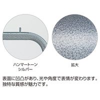 アズワン フェンスフレーム HSIL フェンスあり W90×H180 63-3367-96 1枚（直送品）