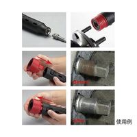 SIGNET ボルトクリーニングセット 46924 1個 63-4161-61（直送品）