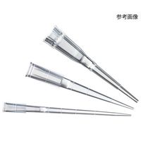 Low Retention Filter Tip(300μL) 滅菌済 96本×10ラック 00-LRT-F300RB 1箱(960本)（直送品）