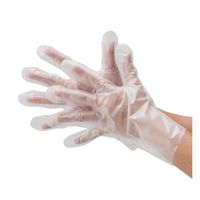 川西工業 ポリエチレン手袋 外エンボス エコノミー 100枚入 クリア L 2018 1パック(100枚) 63-7944-16（直送品）