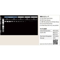 エッペンドルフ Fast PCRチューブストリップ 0.1mL 0030 124.901 1式 63-8461-19（直送品）