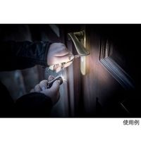 エナジャイザー LEDキーチェインライト20lm TKC2C 1個 64-0919-34（直送品）