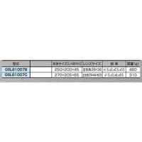 ジーネット ヘッドルーペ GSL81007C 1個 64-3266-35（直送品）