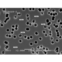 GVS ポリカーボネート メンブレン PCTE 203×254mm 0.8μm 1222030 1箱(30枚) 64-3325-35（直送品）