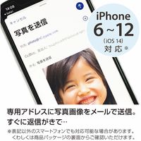 【ギフト包装】テンヨー　ジガゾーパズル／ディズニー＆ピクサーキャラクターズ　22-0341-036　1個（直送品）