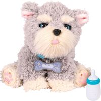 【ギフト包装】ラングスジャパン　マイドリームパピー　ラッフルズ　22-0341-052　1個（直送品）