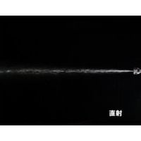 永田製作所 フード付ピストル噴口FS-1 1122000 1個（直送品）