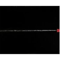 永田製作所 コルト噴口C-3 1123400 1個（直送品）