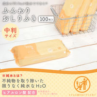 【おしりふき】【トイレに流せる】レック NC水99.9おしりふき中判100枚 E90536 1個
