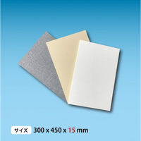 シーレックス・ジャパン 吸音壁パネル グレー(300×450mm) CN-03-3045-LG 1セット(2枚)（直送品）