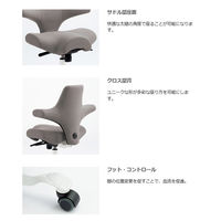 【組立設置込】プラスファニチャーカンパニー HAG CAPISCO オフィスチェア ブラック CP-8107NBK 1脚（直送品）