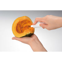 エムテートリマツ 種取りナイフ ※刃物のみ(検) 060003002 1個（直送品）