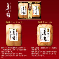 ニッポンハム 日本ハム ギフト 国産 プレミアム 美ノ国 UKI-55 お中元 冷蔵 送料無料 901043575 1セット（直送品）