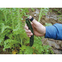 浅野木工所 収穫カッター V型 収穫カッター 09375 1個（直送品）